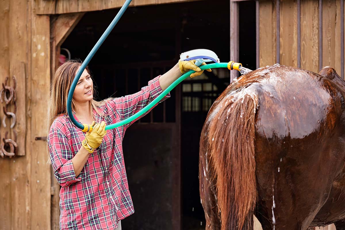 Can horse shampoo cause dryness?